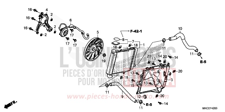 RADIATOR (R.) for Gold Wing CANDY ARDENT RED (R367B) from 2019